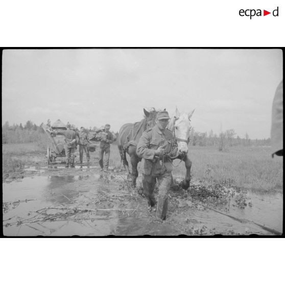 Progression difficile d'une charrette hippomobile dans une zone maréchageuse.