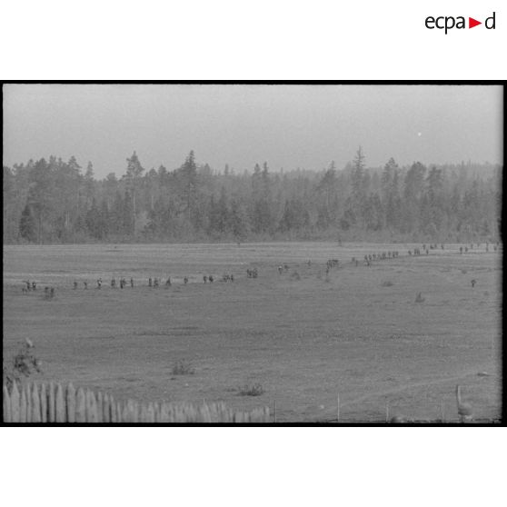 Dans le cadre de la lutte contre les partisans, des fantassins allemands progressent dans une plaine et vers une forêt.