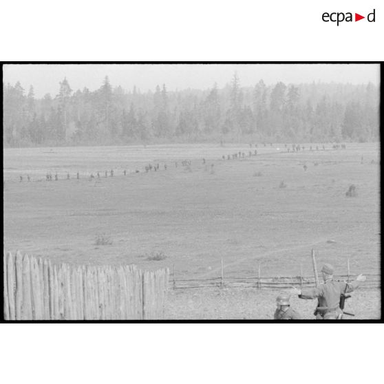 Dans le cadre de la lutte contre les partisans, des fantassins allemands progressent dans une plaine et vers une forêt.