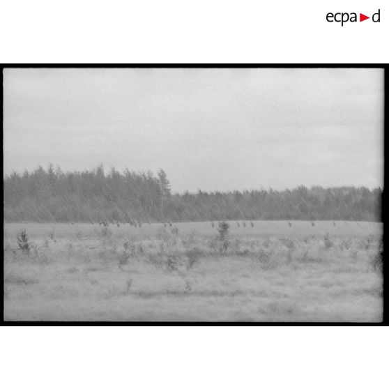 Dans le cadre de la lutte contre les partisans, des fantassins allemands progressent dans une plaine et vers une forêt.