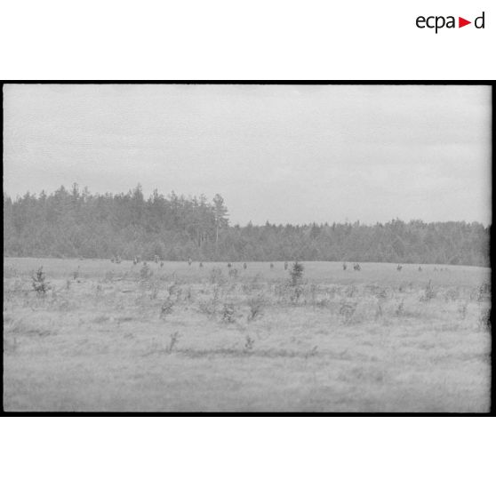 Dans le cadre de la lutte contre les partisans, des fantassins allemands progressent dans une plaine et vers une forêt.