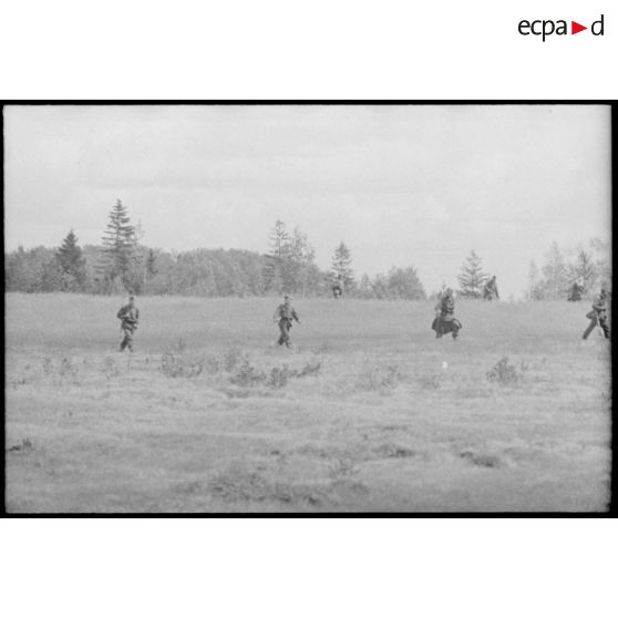 Dans le cadre de la lutte contre les partisans, des fantassins allemands progressent dans une plaine et vers une forêt.