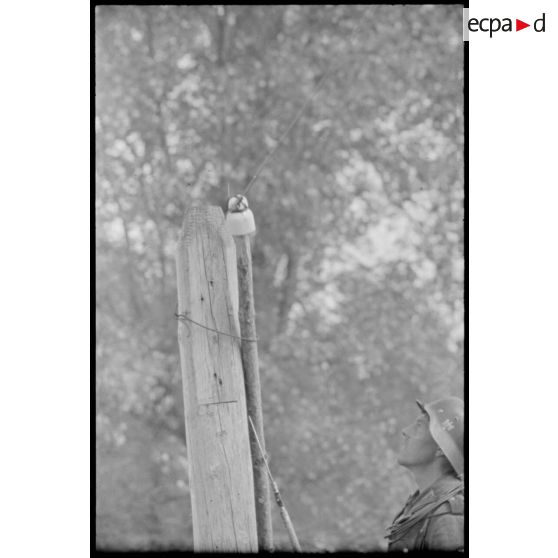 Un soldat allemand s'interroge devant le câble d'une ligne téléphonique.
