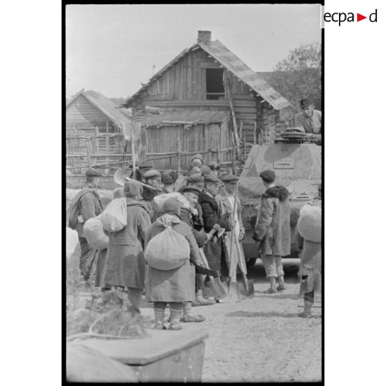 Durant l'opération Frühlingfest, des travailleurs forcés (Zwangarbeiter) accompagnent sous la contrainte des blindés légers allemands Panzer II.