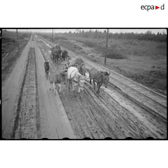 Charrettes hippomobiles allemandes progressent dans la boue.