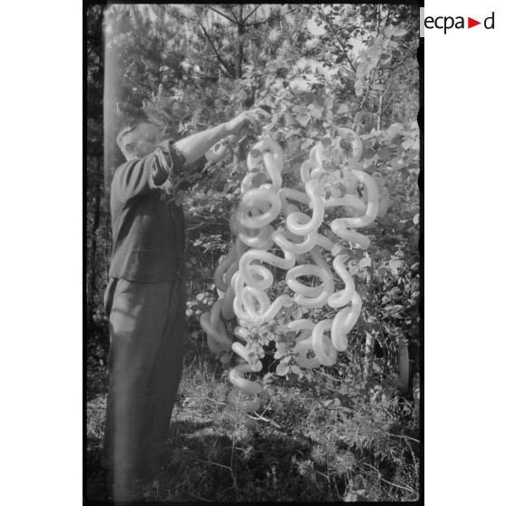 Décoration dans un arbre.