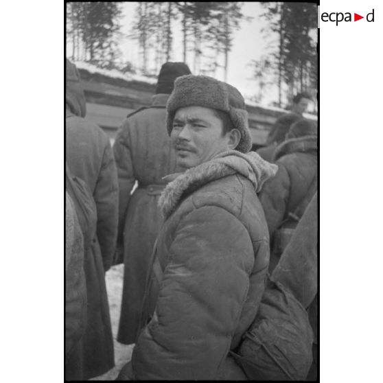 Portrait d'un prisonnier capturé par les Panzergrenadiers.