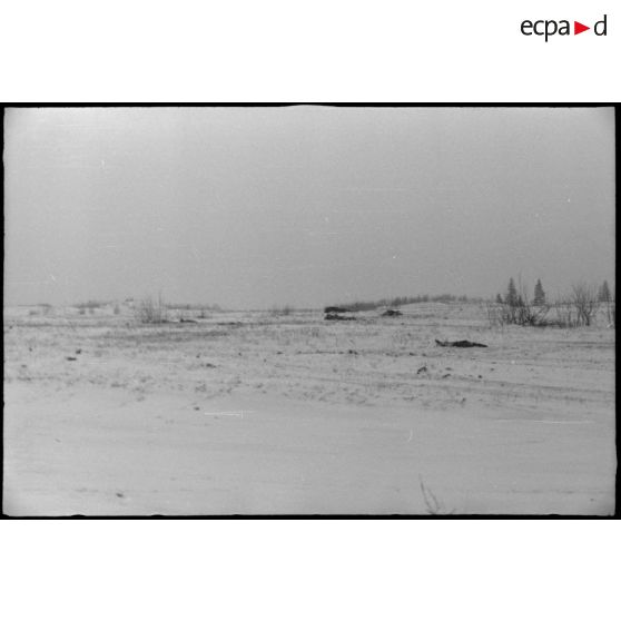 Cadavres soviétiques dans la neige.