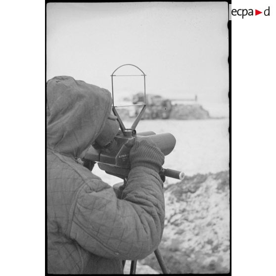 Observation grâce à des jumelles 10x80 de Schneider Kreuznach.