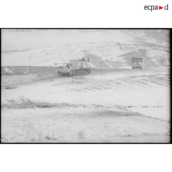 Canon automoteur Nashorn du Schwere Panzerjäger-Abteilung 519.