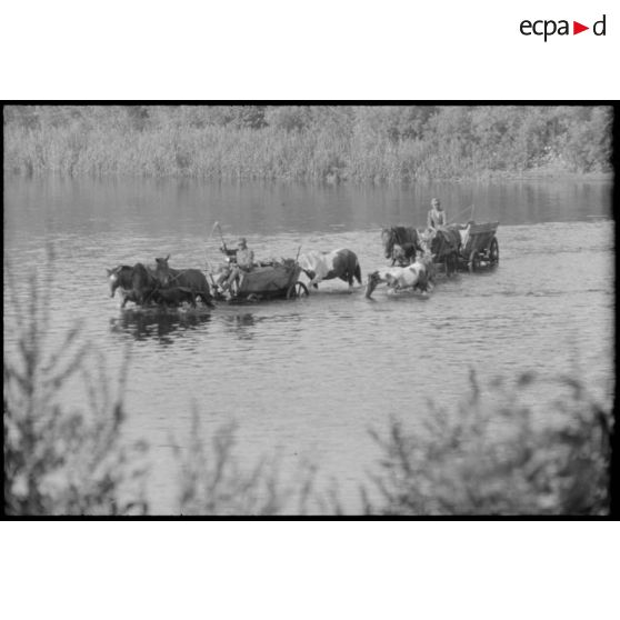 La traversée d'une rivière ou d'un fleuve par une charrette d'infanterie allemande en pleine retraite.