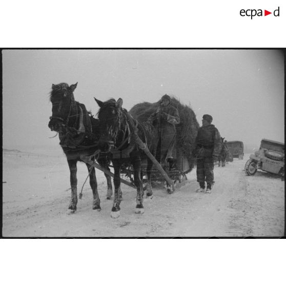 Un traineau tracté par des chevaux suscite l'intérêt du reporter, sur la droite une Kübelwagen immatriculée WH-1484 997.