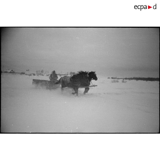 Un soldat allemand sur un traineau.
