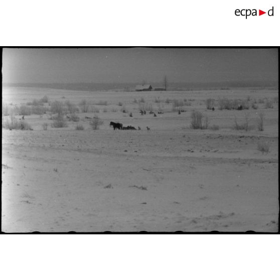 Progression dans la steppe russe de fantassins allemandes (Panzergrenadier) en soutien de Nashorn du schwere Panzerjäger-Abteilung 519.