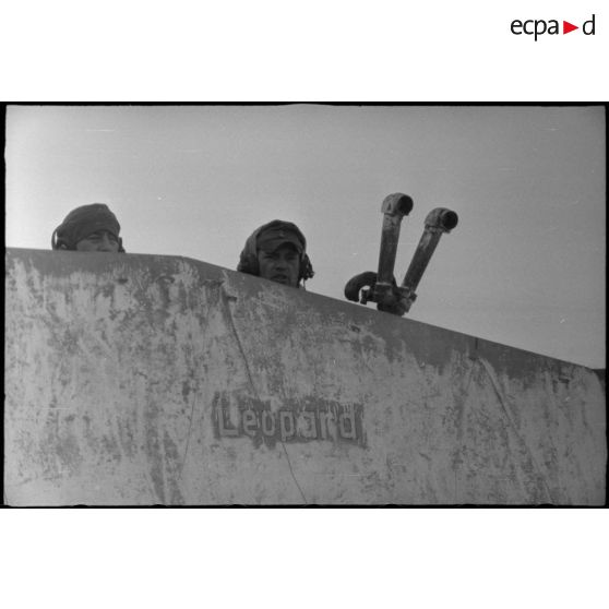 Le Nashorn baptisé Leopard appartenant au schwere Panzerjäger Abteilung 519.