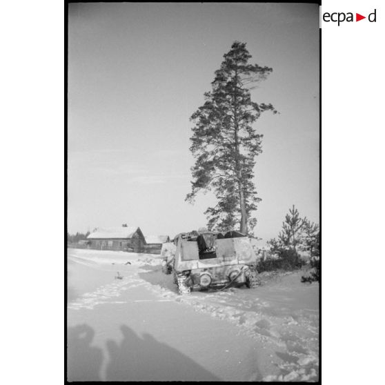 Deux Nashorn non identifiés du schwere Panzerjäger-Abteilung 519.