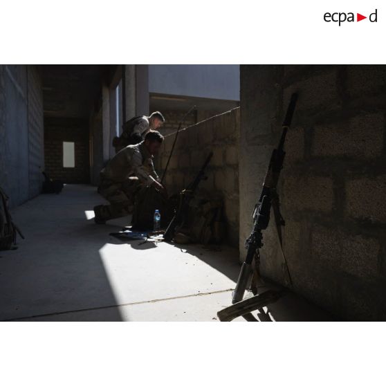 Un groupe de tireurs d'élite longue distance (TELD) du 92e régiment d'infanterie (RI) se prépare depuis les étages d'un immeuble du camp d'Al Hamra, aux Emirats arabes unis.