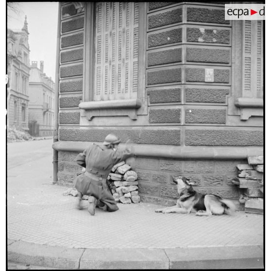 Un chasseur du peloton spécial du 3e régiment de chasseurs d'Afrique (RCA) participe à l'assaut d'une maison dans Mulhouse, probablement en soutien d'une mission de perquisition.