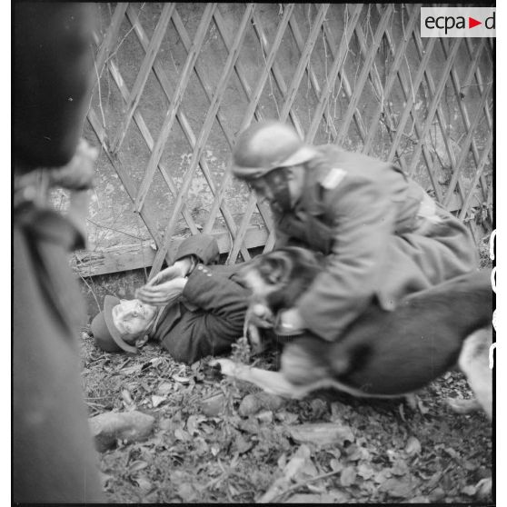 Un civil allemand, soldat SS d'après la légende d'origine, est fait prisonnier par des chasseurs du 3e régiment de chasseurs d'Afrique (RCA) dans Mulhouse.