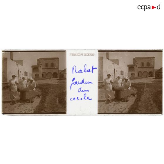 Rabat. Jardin du cercle. [légende d'origine]<br>