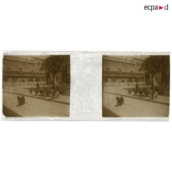 [Malte. Troupeaux de chèvres devant palais]. <br> [Légende d'origine]