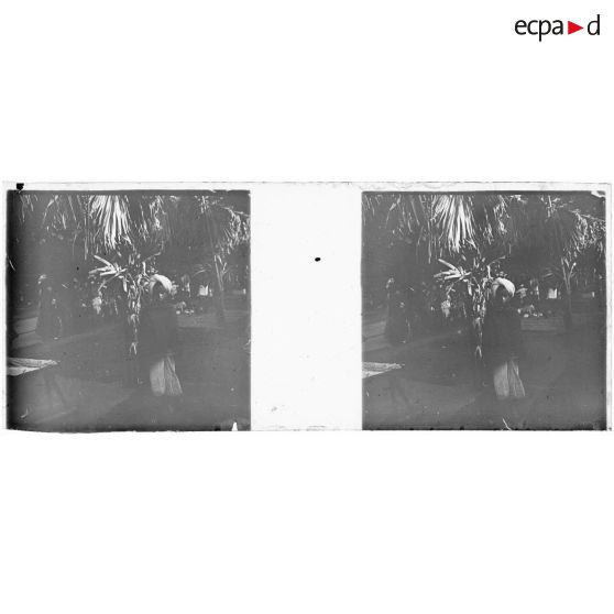 [Population marocaine ? dans un jardin].<br>