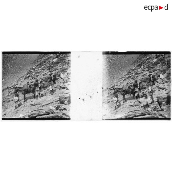 [Chasseurs alpins en haute montagne ; descente avec cheval].<br> [Légende d'origine]