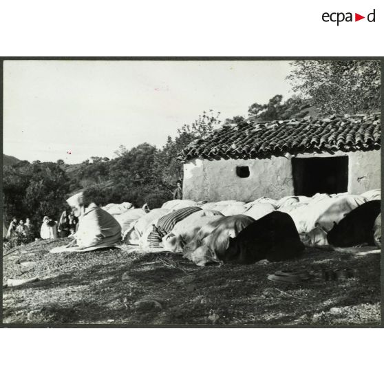 Ouled Haddada, février 1962. Prosternés. [légende d'origine]