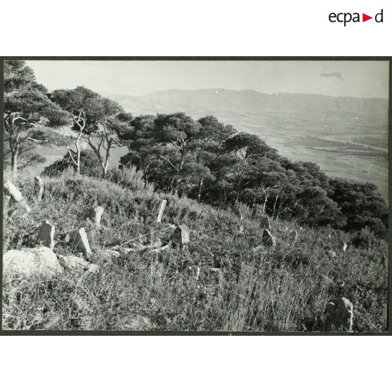 Bou Arbi après le 1er juillet 1962. Cimetière musulman. Tombes anciennes. [légende d'origine]