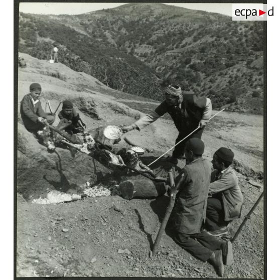 Ouled Haddada, avril 1961. Un méchoui. Cuisson sur feu de braises de deux moutons. [légende d'origine]