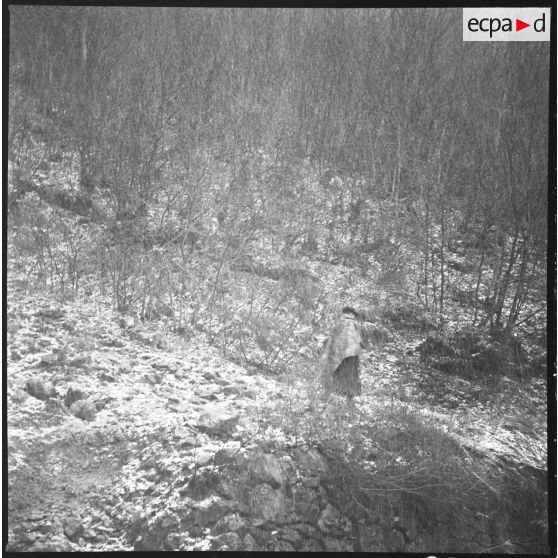 Rallye. Yves Roux soulagé de son sac continue à marcher (après sa chute…). Yves Roux, chargé de son sac et du fusil MAS 36, fait une chute d'une trentaine de mètres dans la pente boisée et enneigée. Il perd son MAS 36 que personne de peut retrouver. Groggy, il reprendre la progression : son sac est porté par les autres appelés. Entre Trévignin et Pragondran, octobre 1960. 13e BCA, Chambéry. [légende d'origine]