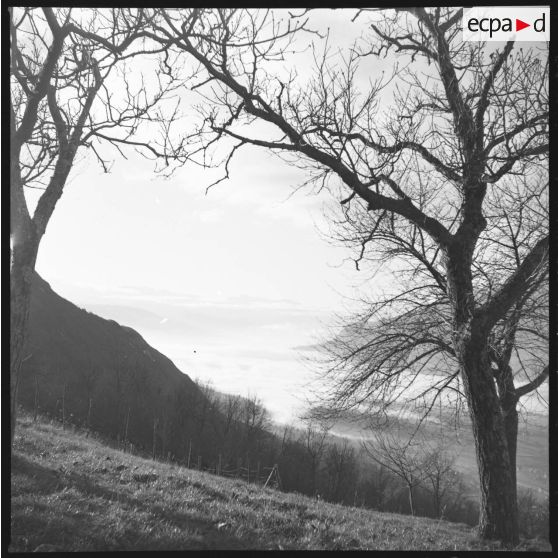 Rallye. Pendant un contrôle avant la descente "shuss" sur Challes les Eaux. Mer de nuages sur Challes-les-Eaux. Octobre 1960, 13e BCA, Chambéry. [légende d'origine]