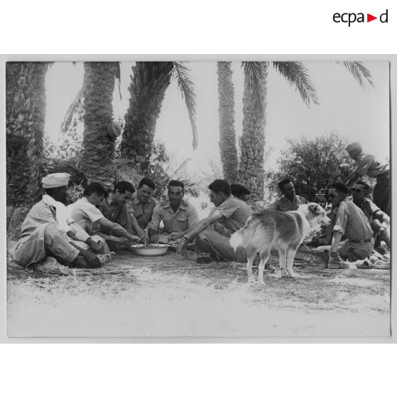 [Algérie, 1956. Un repas partagé par des militaires français.]