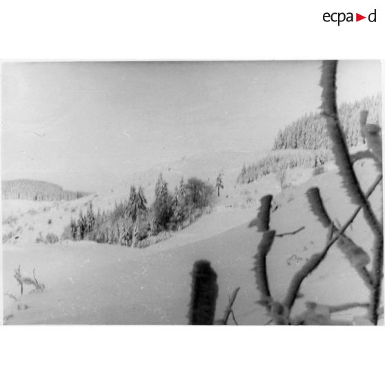 Sur le front des Vosges. Octobre - décembre 1944. [légende d'origine]