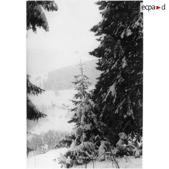 Sur le front des Vosges. Octobre - décembre 1944. [légende d'origine]