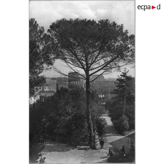 [Rome. Le Colisée. Sans date.]