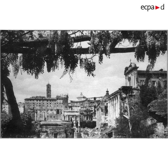 [Le Forum de Rome. Sans date.]