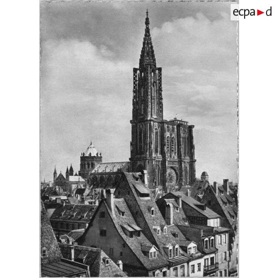 [La cathédrale Notre-Dame de Strasbourg. Sans date.]