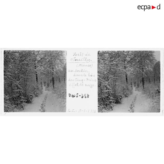 Forêt de Souilly (Meuse). Un sentier dans le bois des Cinq-Frères. Effet de neige. L. C. - 9-1-1918. [légende d'origine]