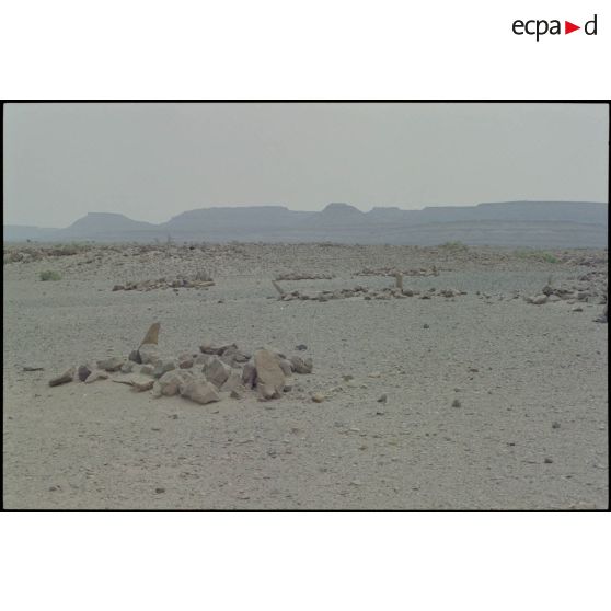 Cadavre de dromadaire en bord de piste. [légende d'origine]<br>