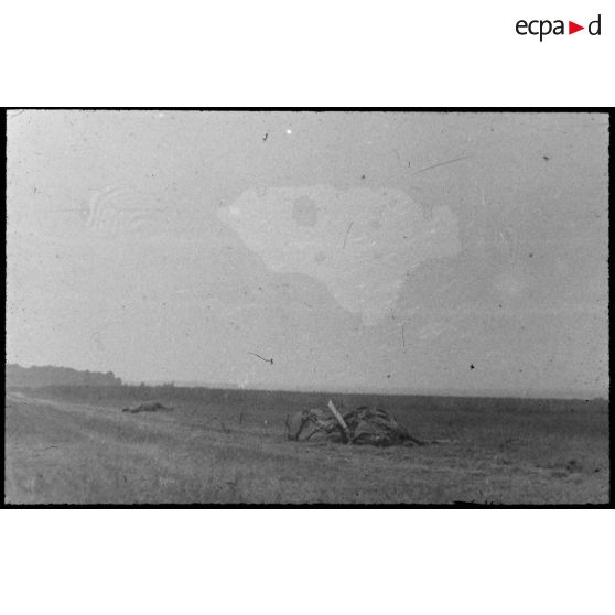 Normandie. [Cadavres de chevaux]. [Description en cours]