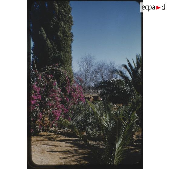 [Un jardin]