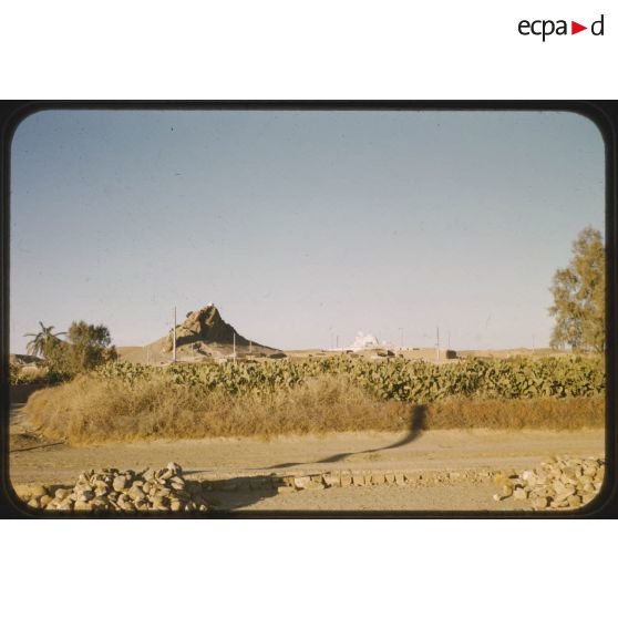 1956 Palikao, Sidi Med ben Aoussa (2). [légende d'origine]