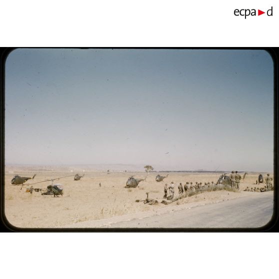 1956 Palikao ops Pt du Chélif. [légende d'origine]