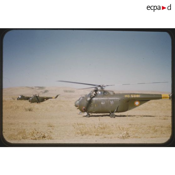 1956 Palikao ops Pt du Chélif (2). [légende d'origine]
