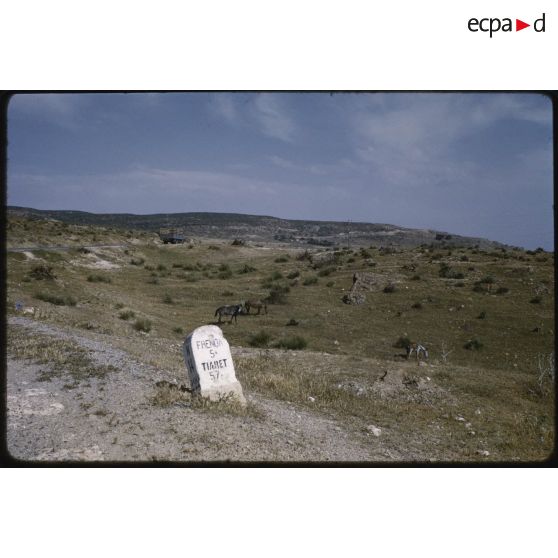 La corniche de Frenda, mai 1959.