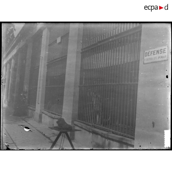 [Zoo. Cages des fauves - "défense d'exciter les animaux"].<br>