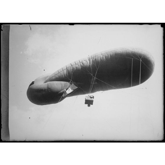 [Jules, saucisse d'observation].