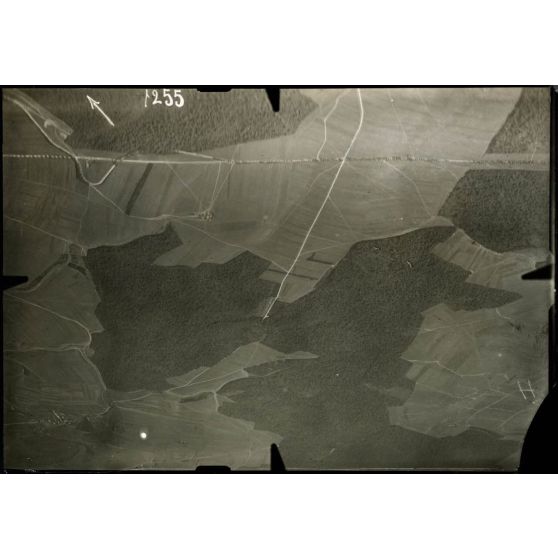 Photographie aérienne 1255. Bois d'Euvezin et Beau Vallon. 24 août 1915. [légende d'origine]