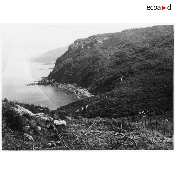 Cap Roux (à l'est, l'Algérie est séparée de la Tunisie par une ligne qui commence au Cap Roux). [légende d'origine]<br>
